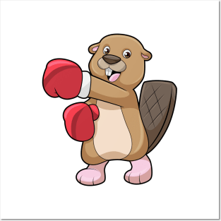 Beaver at Boxing with Boxing gloves Posters and Art